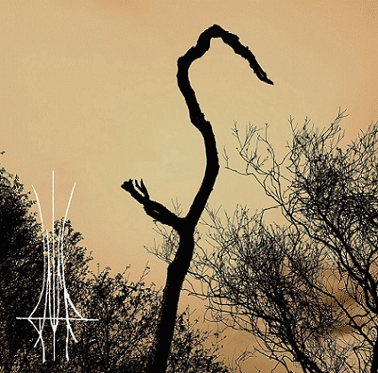 GAFR : Solomon's Tomb